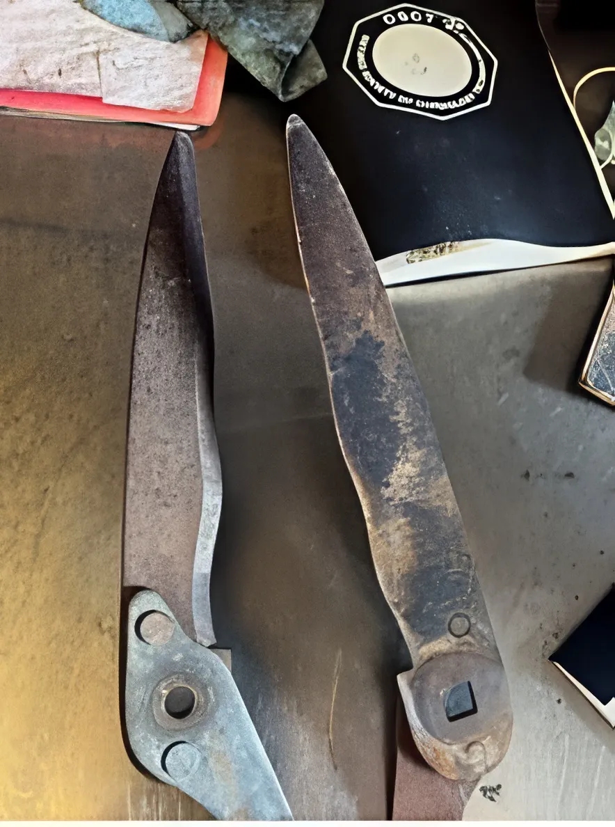 Lames anciennes, piquées par la rouille Avant